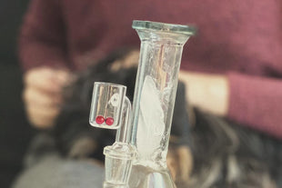 Perlas para dab